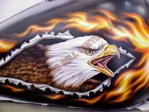 Eagle Custom Paint 436